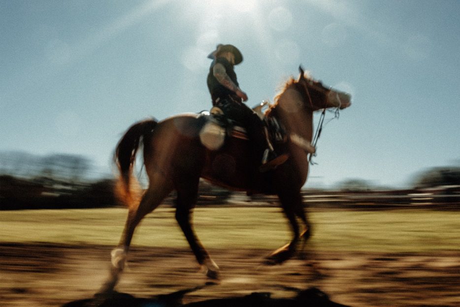 Picture of Louie TheSinger - Maverick